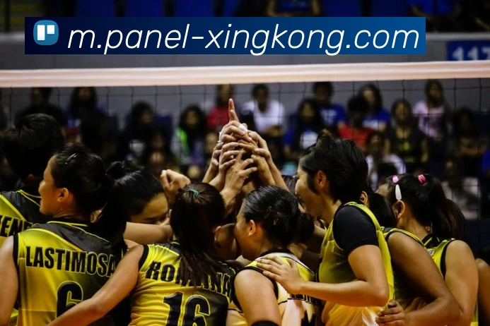 星空体育品牌故事