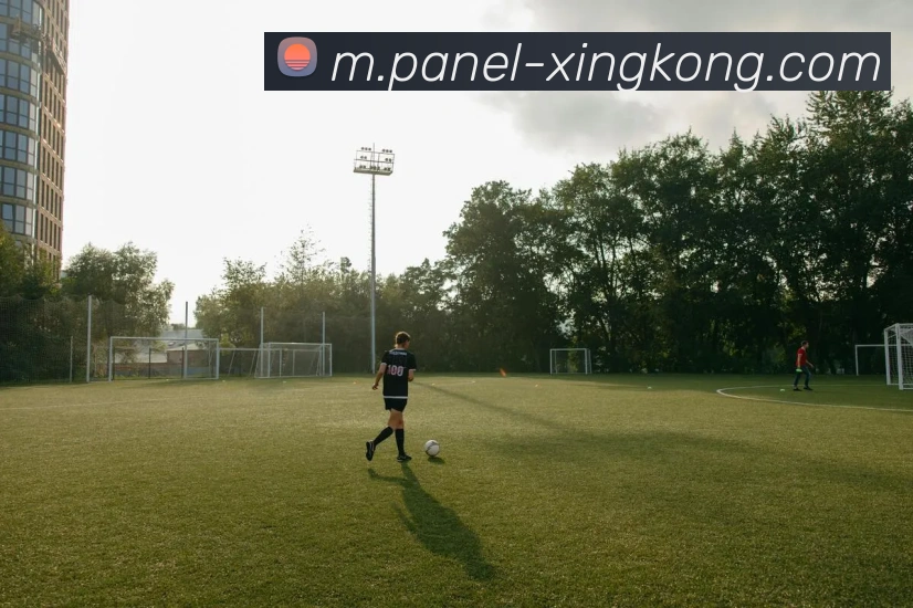 星空体育服务体系